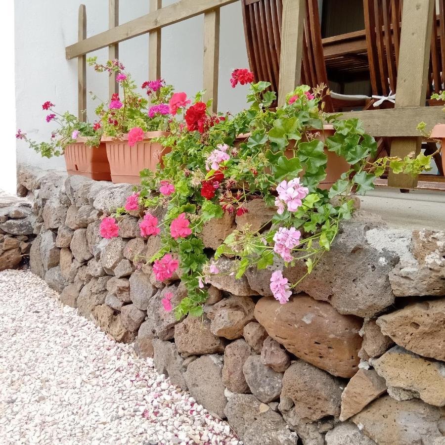 Casa Di Campagna Galtellì Exteriér fotografie